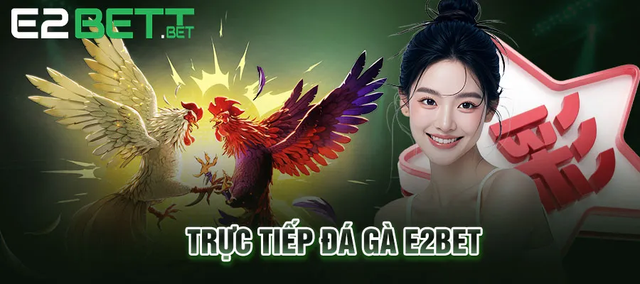 Trực tiếp đá gà - Bình luận viên đầu ngành